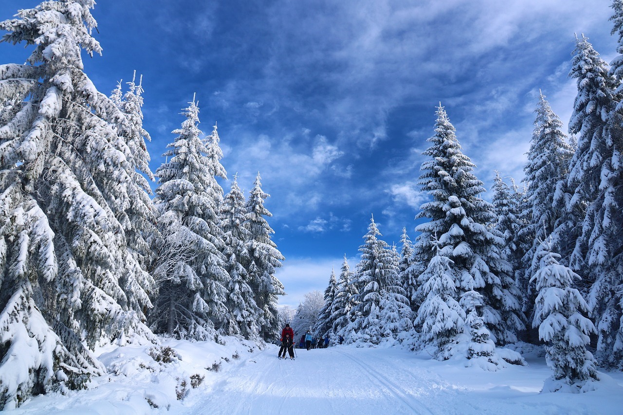 ski-vakantie